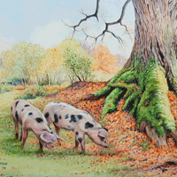 Karen Frampton, New Forest Artist, paintings, greeting cards, murals, slate, Hampshire, UK